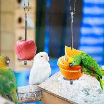 Porte-fruits en inox pour perroquets