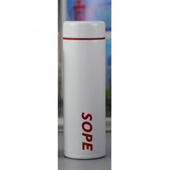 Botella Térmica Pequeña 300ml