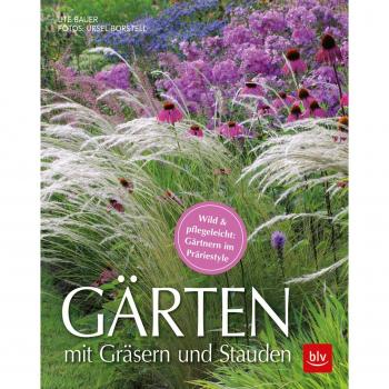 Blv Gärten mit Gräsern und Stauden