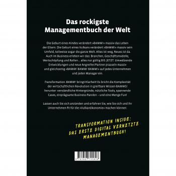 Dietmar Dahmen Transformation. Bamm! Management In Der Vulkanökonomie