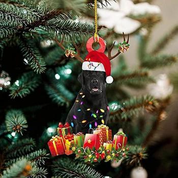 Bauble Lumineux Gnome Décoratif
