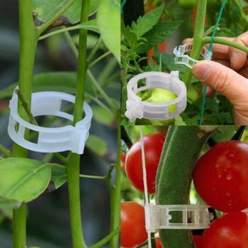 23mm Tomato Trellis Clips - 50/100pcs