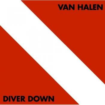 Pochette étanche Diver Down