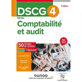 Comptabilité Et Audit Dscg 4 - 50 Fiches De Révision