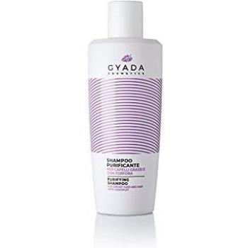 Gyada Cosmetics Champú Purificante 250ml