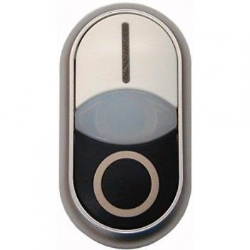 IP66 Dual‑Color Push Button Actuator M22-DDLM-WS X1/X0