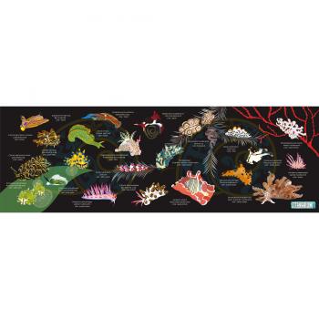 Serviette sèche Oceanarium T13 noire nudibranche 80CM X 140CM