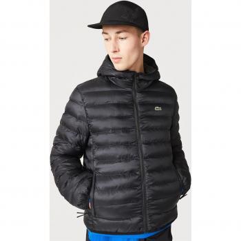 Chaqueta Acolchada BH0539-00 Lacoste