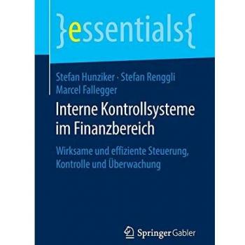 Interne Kontrollsysteme im Finanzbereich: Wirksame und effiziente Steuerung, Kontrolle und Überwachung