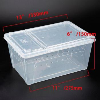 Plastic Insect Feeding Container