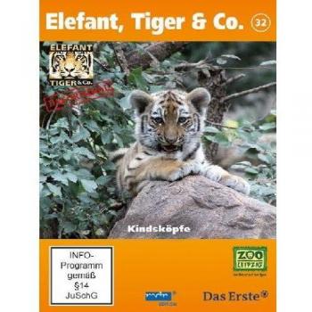 Elefant Tiger & Co. 32 Kindsköpfe