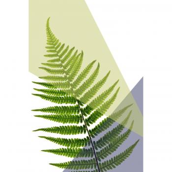 Queence Acrylglasbild Grüne Blätter