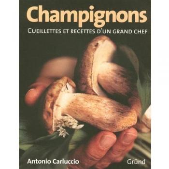 Antonio Carluccio Champignons : Cueillettes Et Recettes D'Un Grand Chef (Traditions Culi)