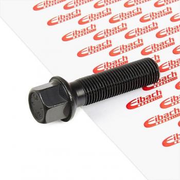 Tornillo de rueda EIBACH S1-7-14-50-50-17-B alta resistencia