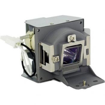 PHILIPS Ersatzlampe für BENQ Beamer 5J.J9V05.001