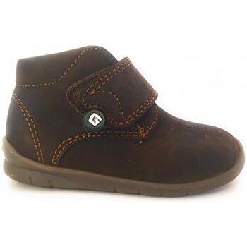 Bota Gorila 16610 Marron