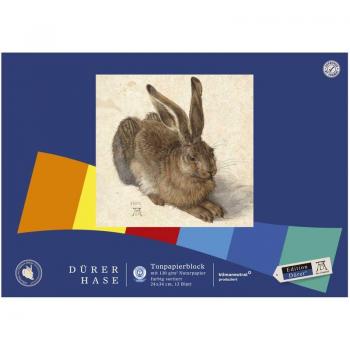 Dürer Green Bastelfolien – 24×34 cm, 12 Stück, 130 g/m², 11 Farbauswahl