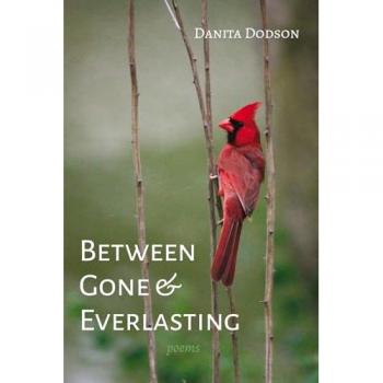 Between Gone and Everlasting