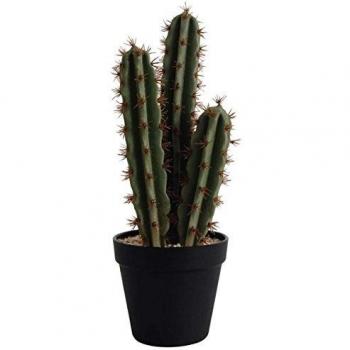 ASA “Cactus‑Art” – dekorativer grüner Kaktus