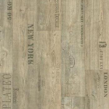 Sol Vinyle DECOWEB First Imitation parquet marqué Rouleau 4m x 3m