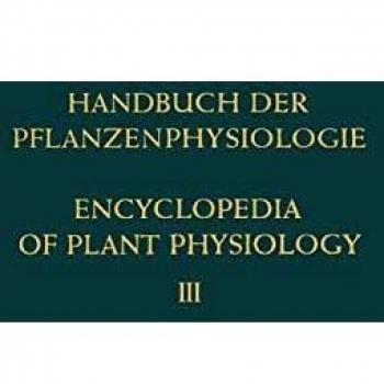 Pflanze und Wasser / Water Relations of Plants
