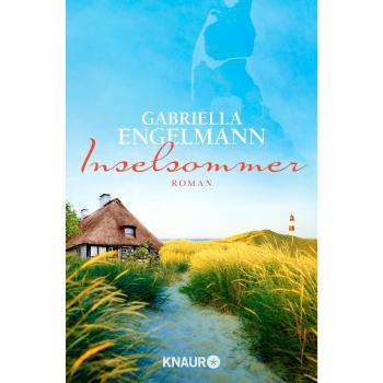 Inselsommer: Roman