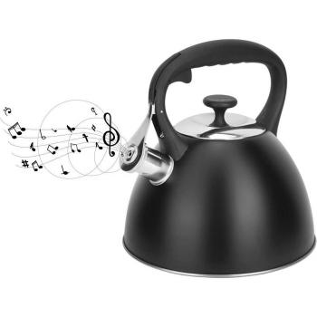 Bouilloire à sifflet 3,0L fond induction