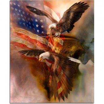 Amerikanische Adler 5D DIY Diamantstickerei