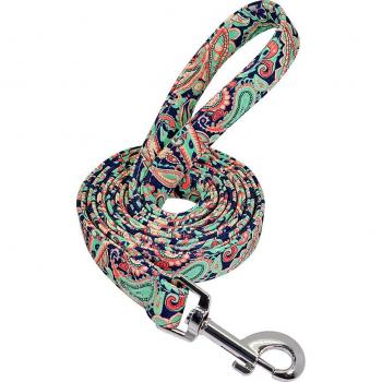 5ft Durable Nylon Polka Dot Dog Leash