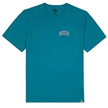 Dickies Aitkin Azul Claro Negro Camiseta de Manga Corta para Hombre