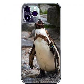 König Design TPU Hülle für iPhone 11 Pro Max - Mehrfarbiger Schutz Bumper Etui