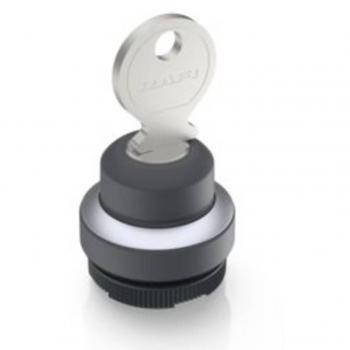 RAFI RAFIX 22 FS+ Key Switch 2 x 40° Single Unit