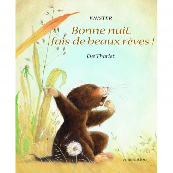 Bonne nuit, fais de beaux rêves !