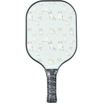 High-Performance Pickleball Paddle