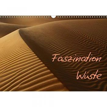 Faszination Wüste