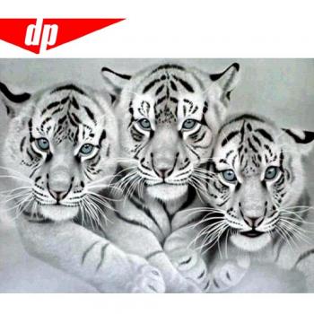 Tigre Mosaico en Pedras Redondas