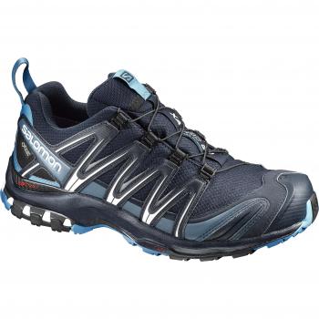 Salomon XA Pro 3D GTX Men's Trail Running Shoes, Blue, Size 7 EU/40.5 UK/8 US