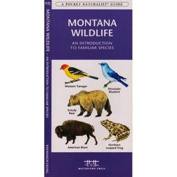 Montana Wildlife A Folding Pocket Guide to Familiar Animals
