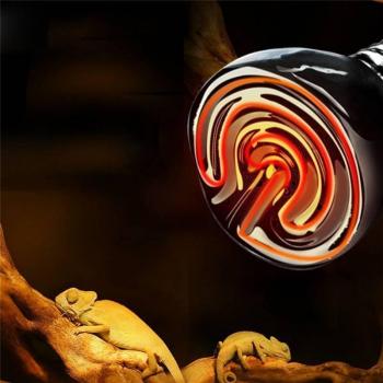 Lampe IR 20-80W céramique – Émetteur thermique pour serpents