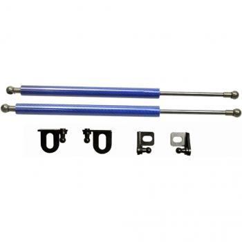 Amortisseurs à gaz en fibre de carbone pour capot avant Toyota Wish (AE20)