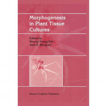 Morphogenesis in Plant Tissue Cultures