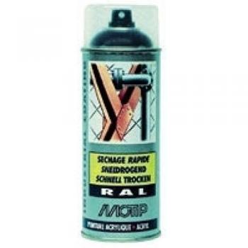 MOTIP 07106 Vernis laque RAL