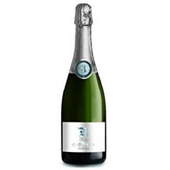 Cantina Rotaliana | Trento Doc R Extra Brut | Cl 75
