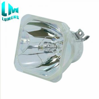 ET-LAL500 Projector Bulb