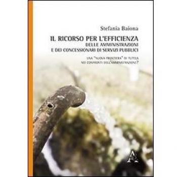 Il ricorso per l'efficienza delle amministrazioni e dei concessionari di servizi pubblici