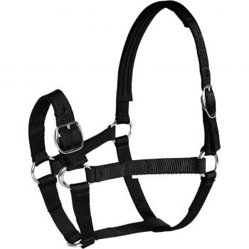 Anpassbares Reithalfter für Pferde 4,3 ft-5,4 ft Schwarz/Blau