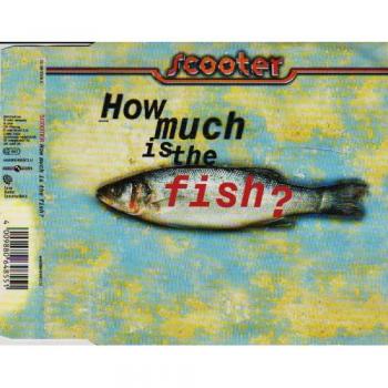 Scooter - Wie viel kostet der Fisch? - Preis vom 26.07.2025 05:16:59 h