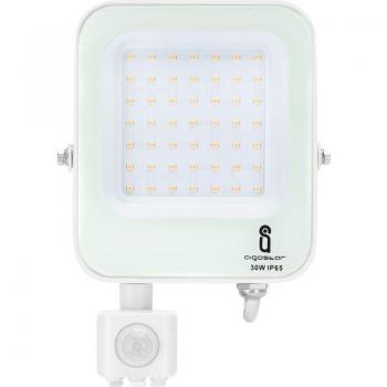 Luz Aigostar 30W LED para Exteriores, Modelo Resistente al Agua