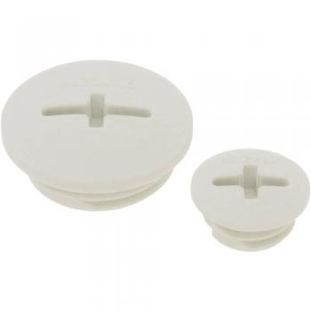 Tapón ciego M63 x 1,5, gris plateado (RAL 7001)
