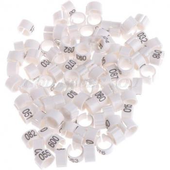 100 Pcs 8mm Bird Identification Bands - Pigeon Training Supplies